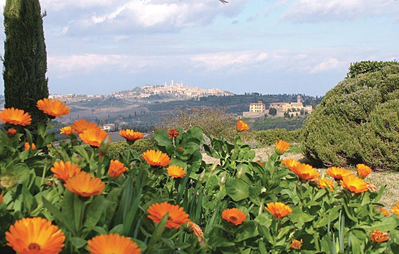 Agriturismo Fattoria Il Piano - Appartamento Antica Cucina - San Gimignano Eksteriør billede